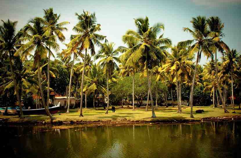 South Indian Holiday Tour Package