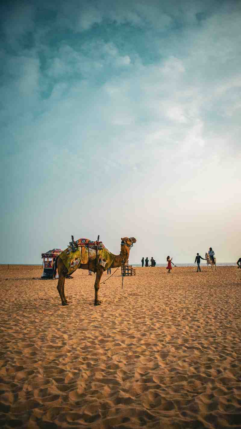 Rajasthan Holiday Tour Package
