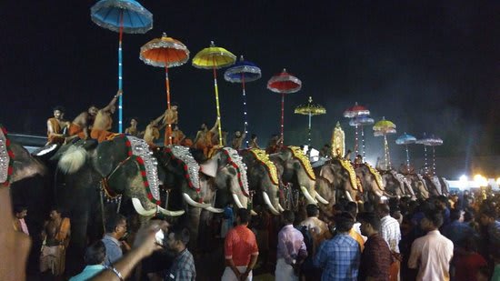 koodalmanikyam-pooram