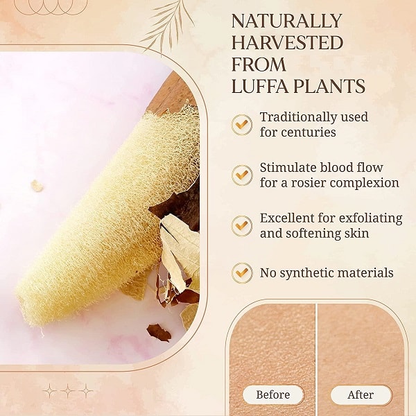 819mgPOagDL._SL1500__1