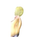 PAPPAD_KUTHI-removebg-preview (1)