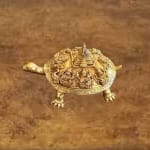 tortoise new reduced