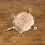 tortoise new reduced