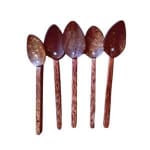 coco spoon small 5pack 300