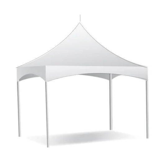 10x10 Party Tent