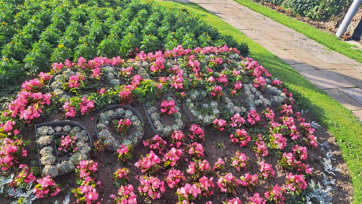 Douglas Promenade Gardens flower bed