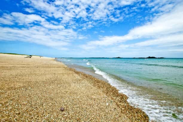 Shell Beach