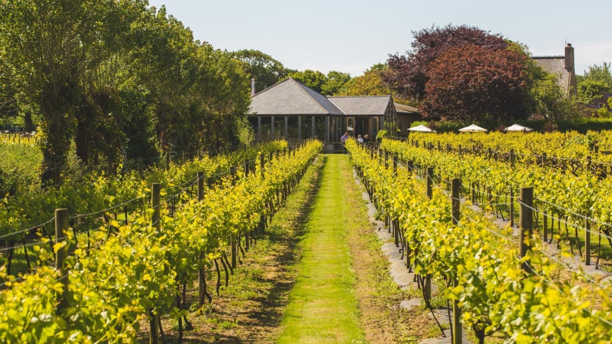 40 Things to do in Jersey – image 5