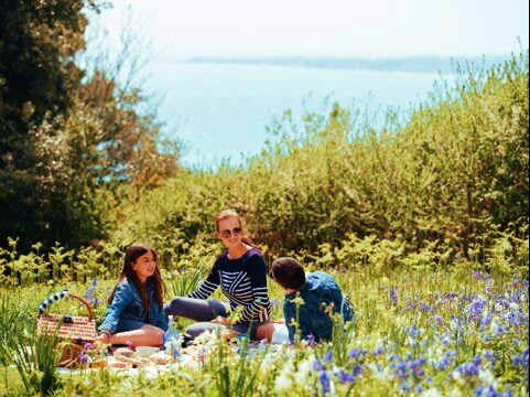 Reasons To Visit Jersey This Spring – image 1