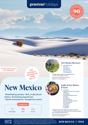 New Mexico Campaign - Poster