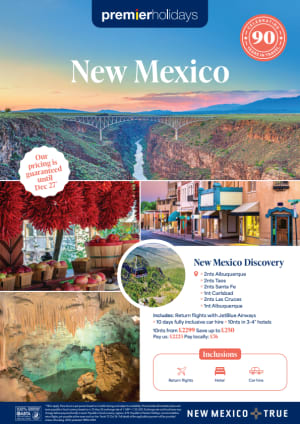 New Mexico Campaign - Discovery 2 Flyer