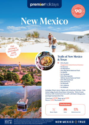 New Mexico Campaign - Flyer