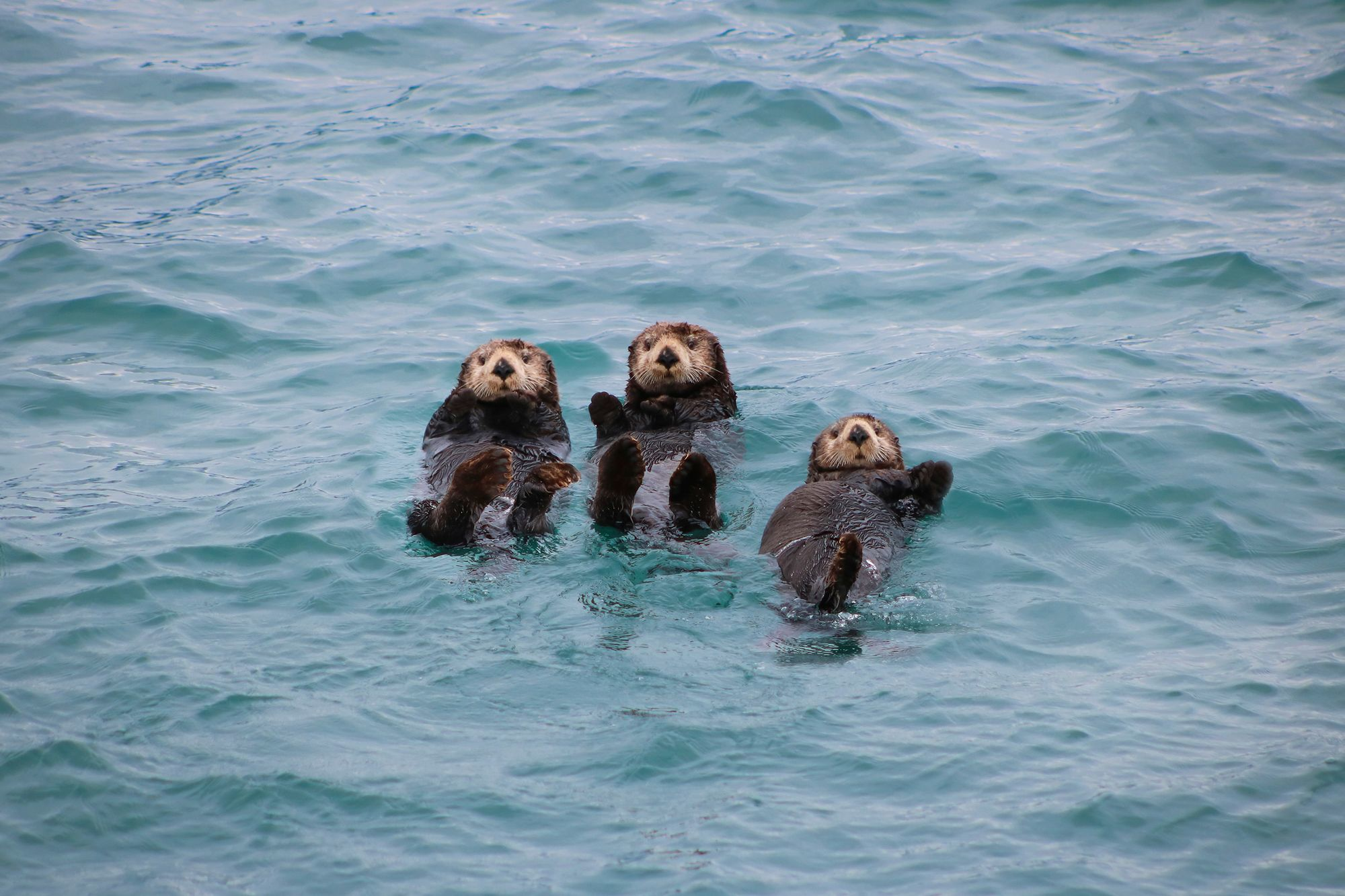 Alaska holidays