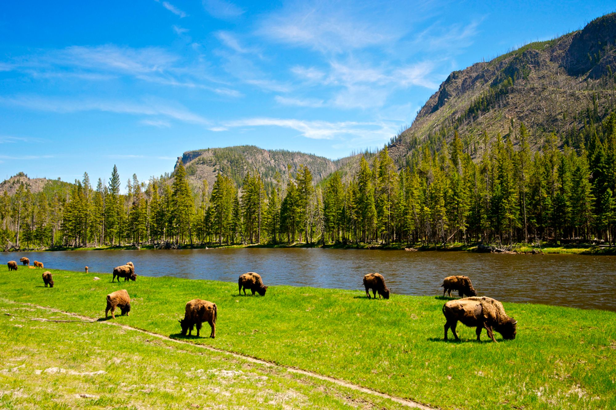 Yellowstone National Park holidays