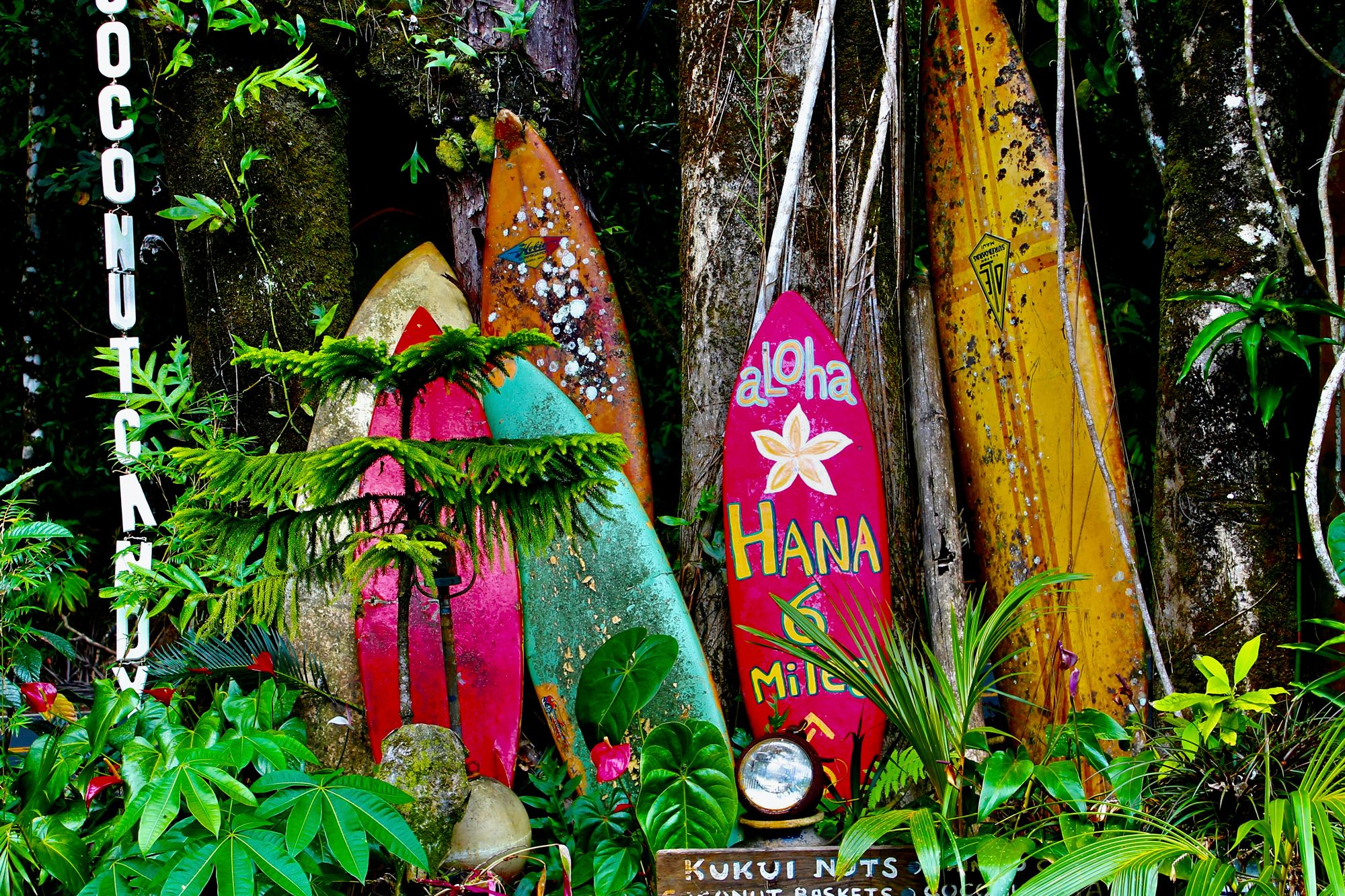Oahu holidays