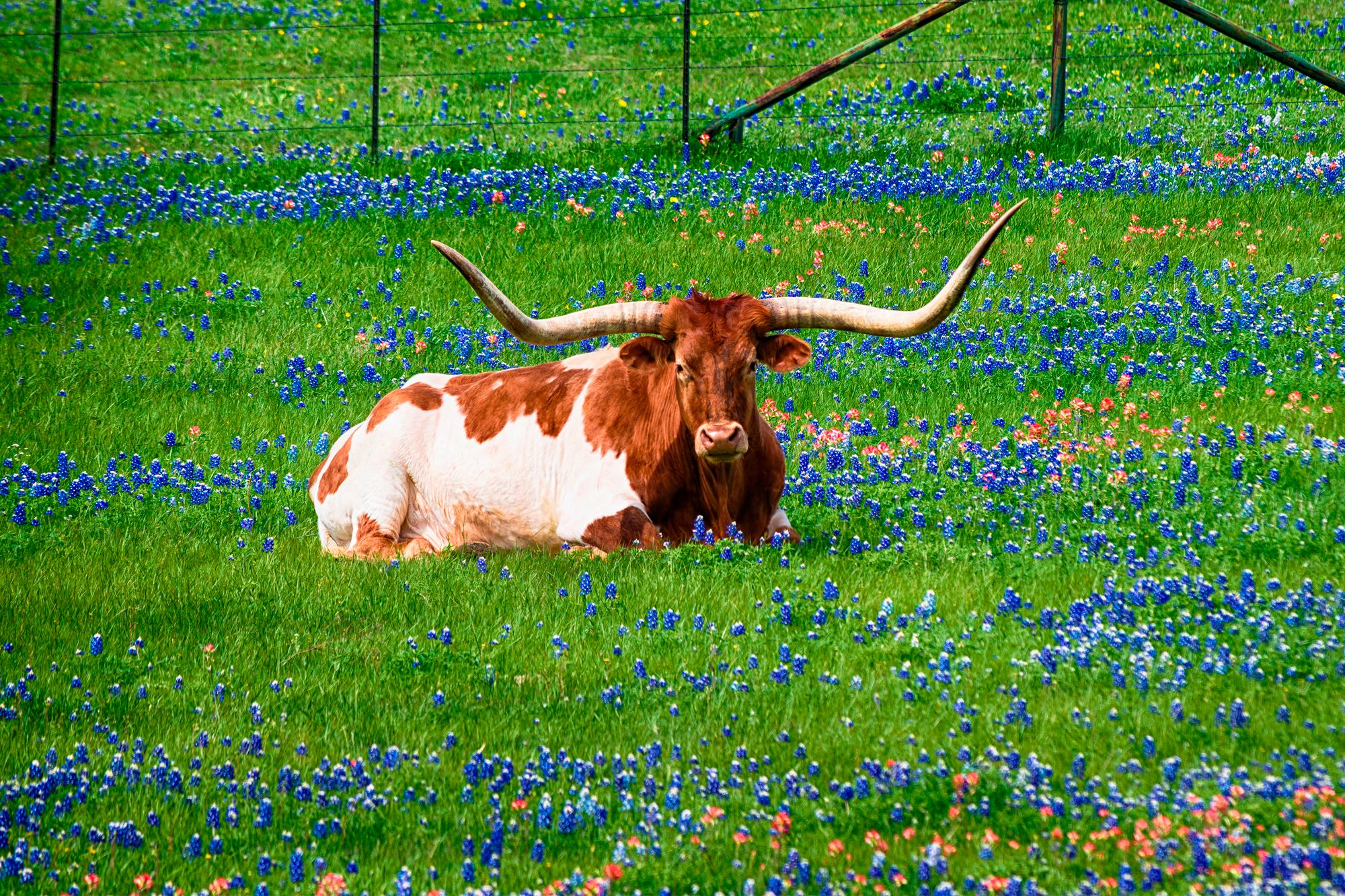 Ranches holidays