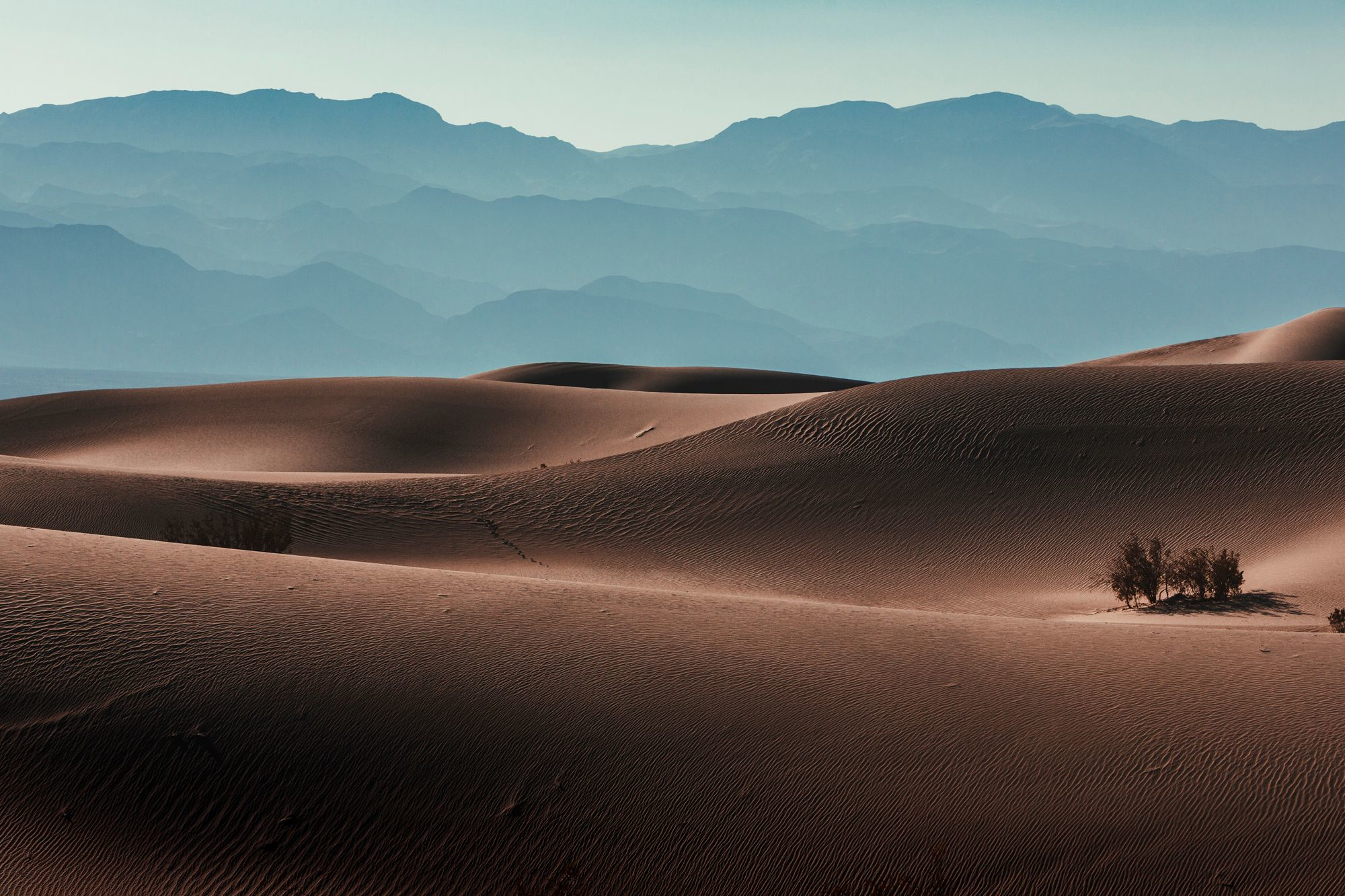 Central & North California holidays