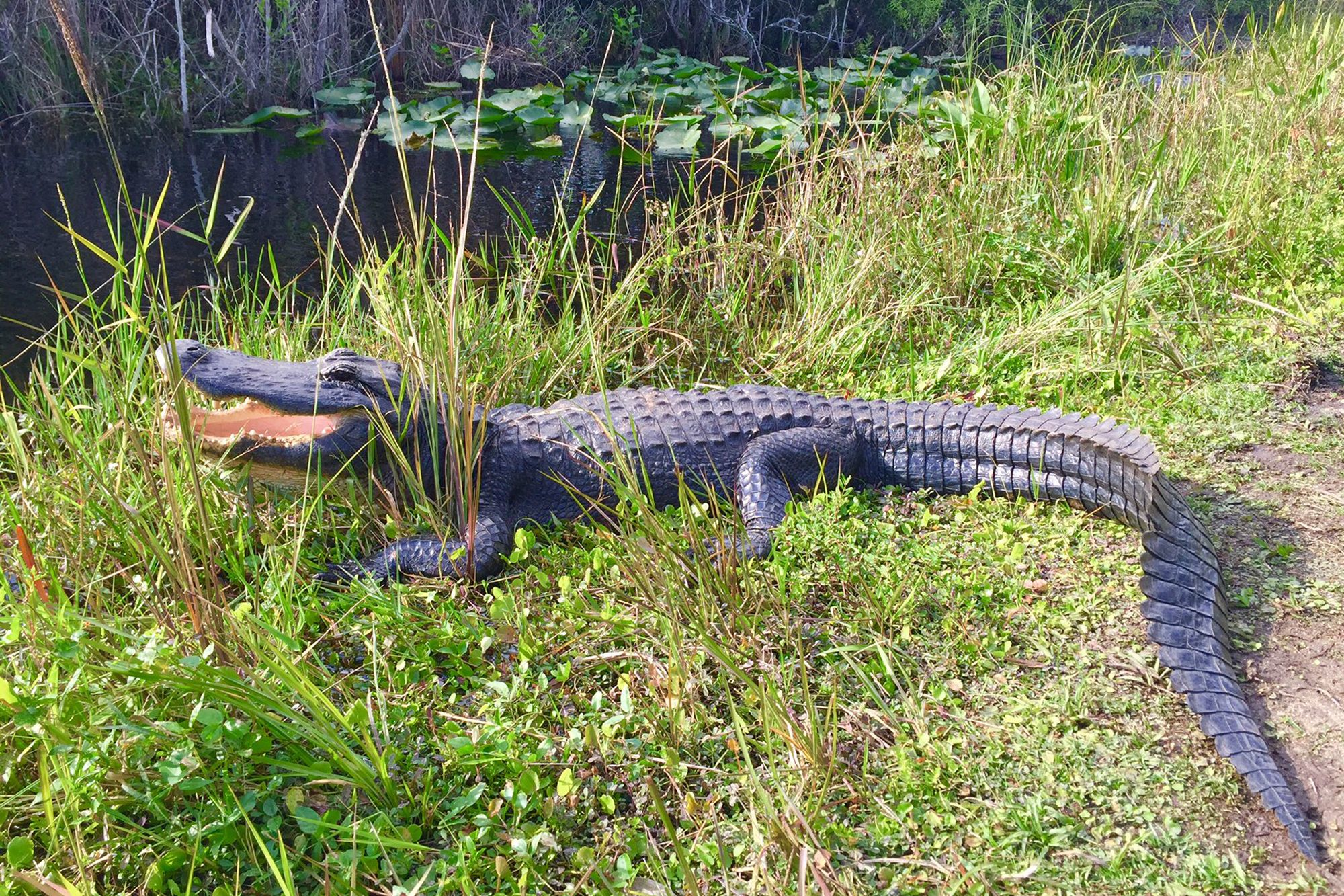 Florida holidays