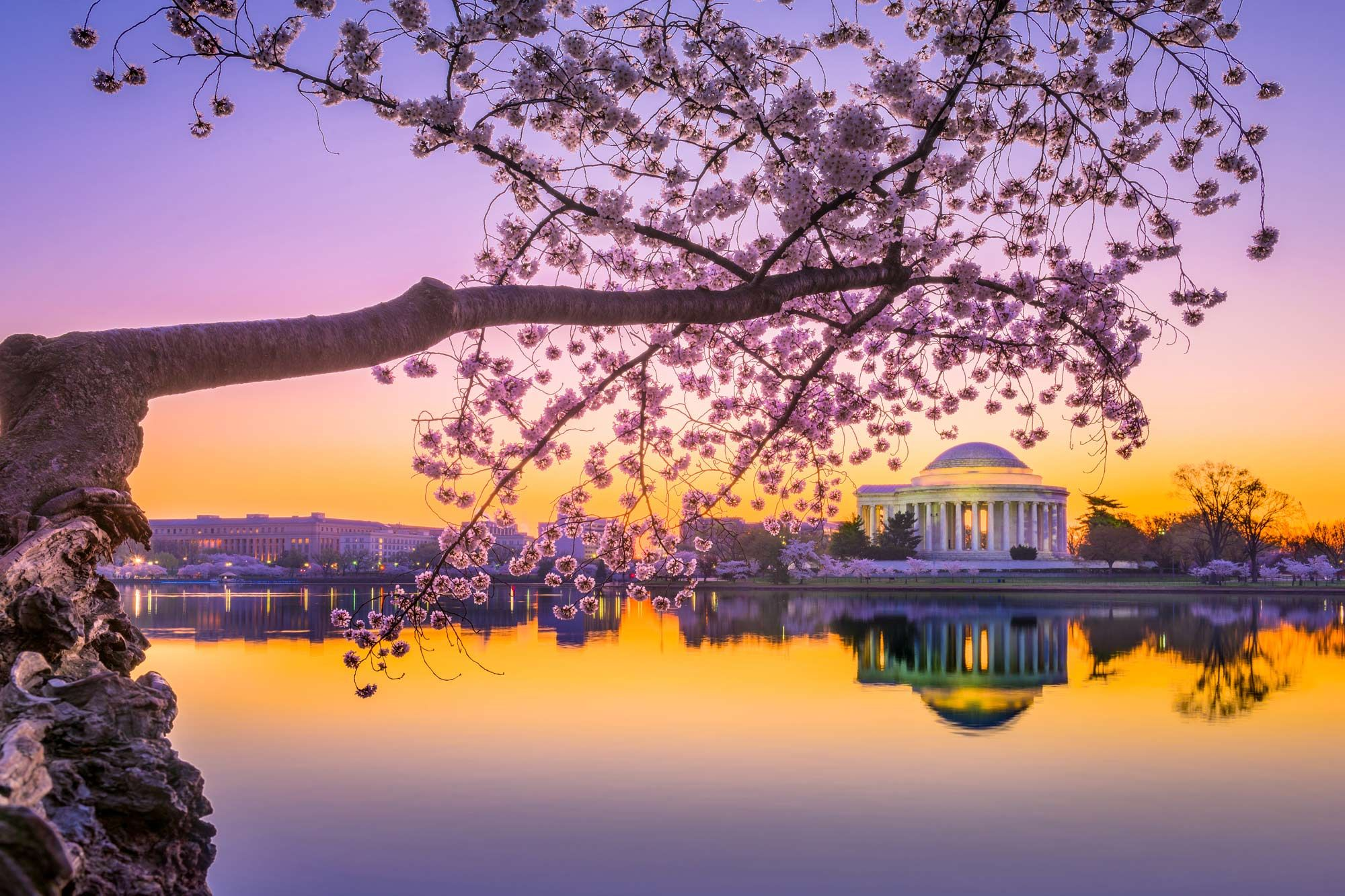 USA holidays
