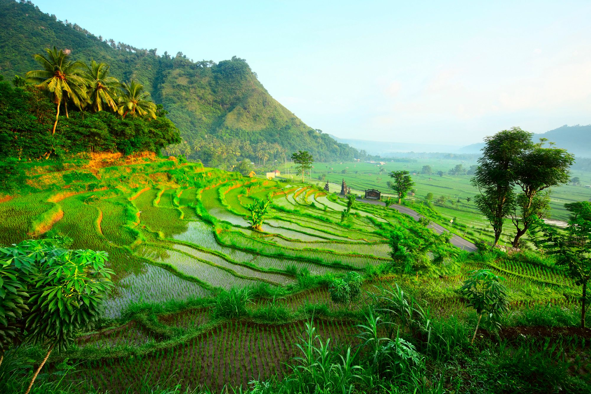 Ubud holidays