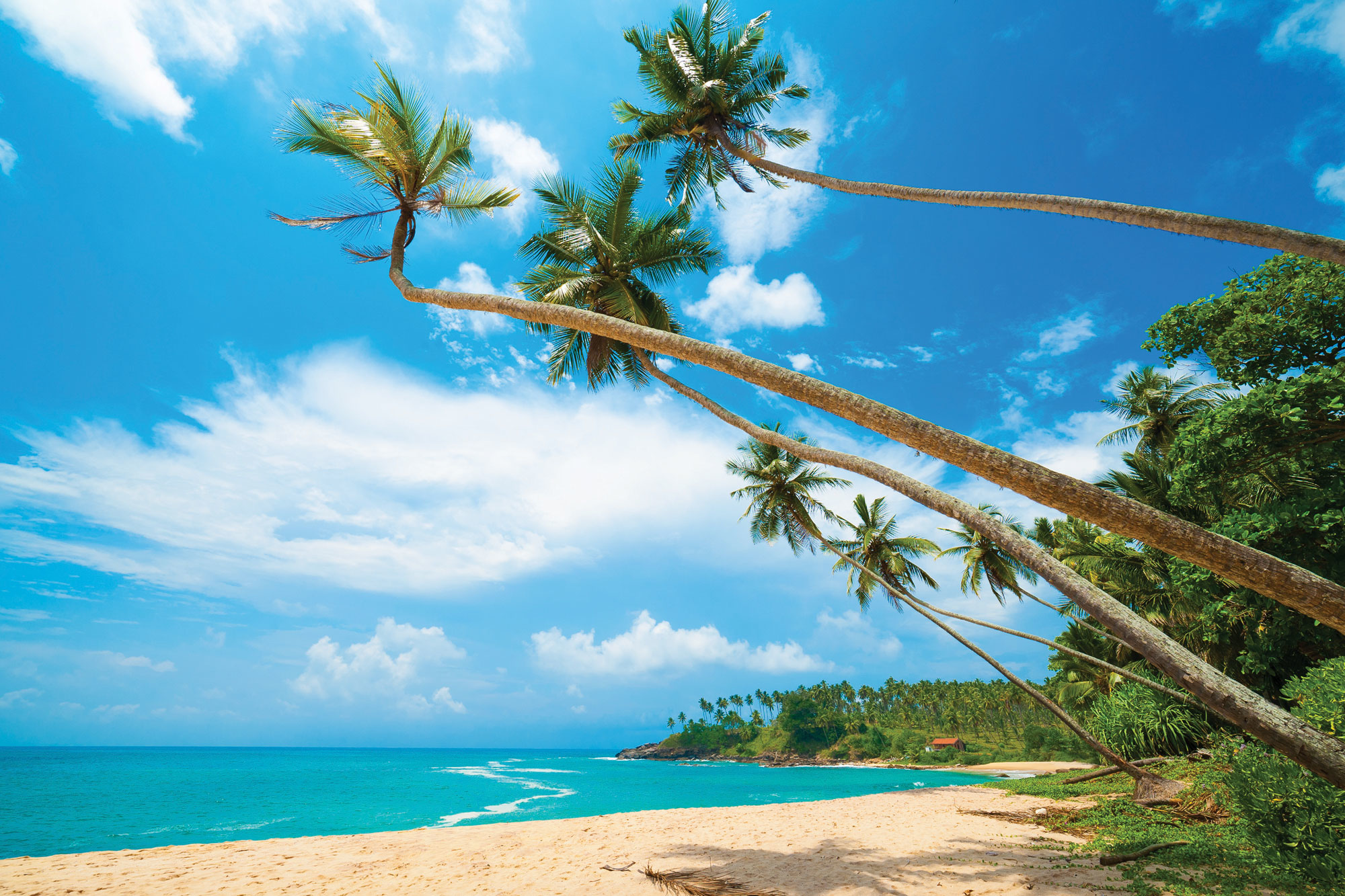South West Coast Beaches holidays