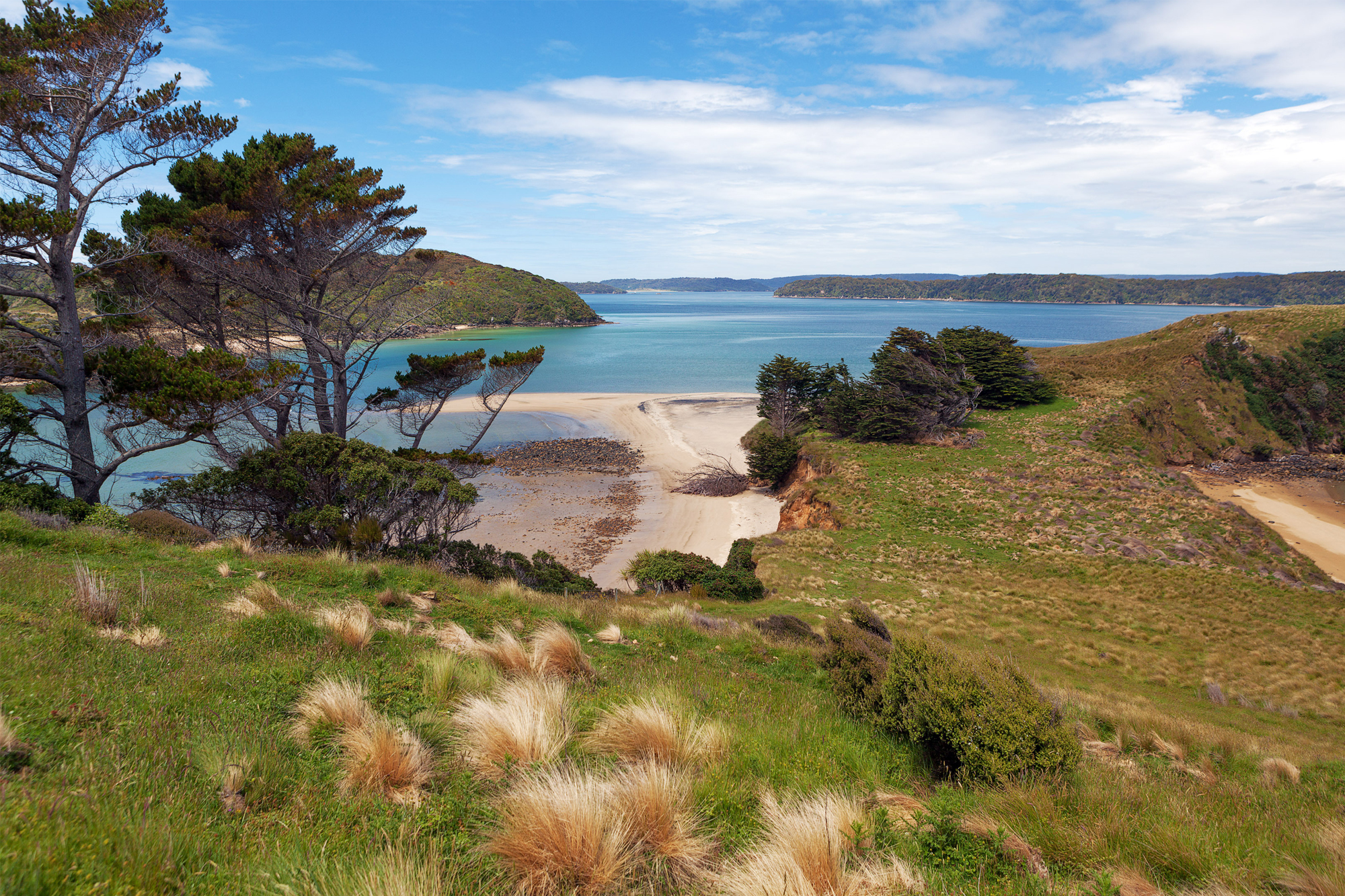 Dunedin, Invercargill & Stewart Island holidays