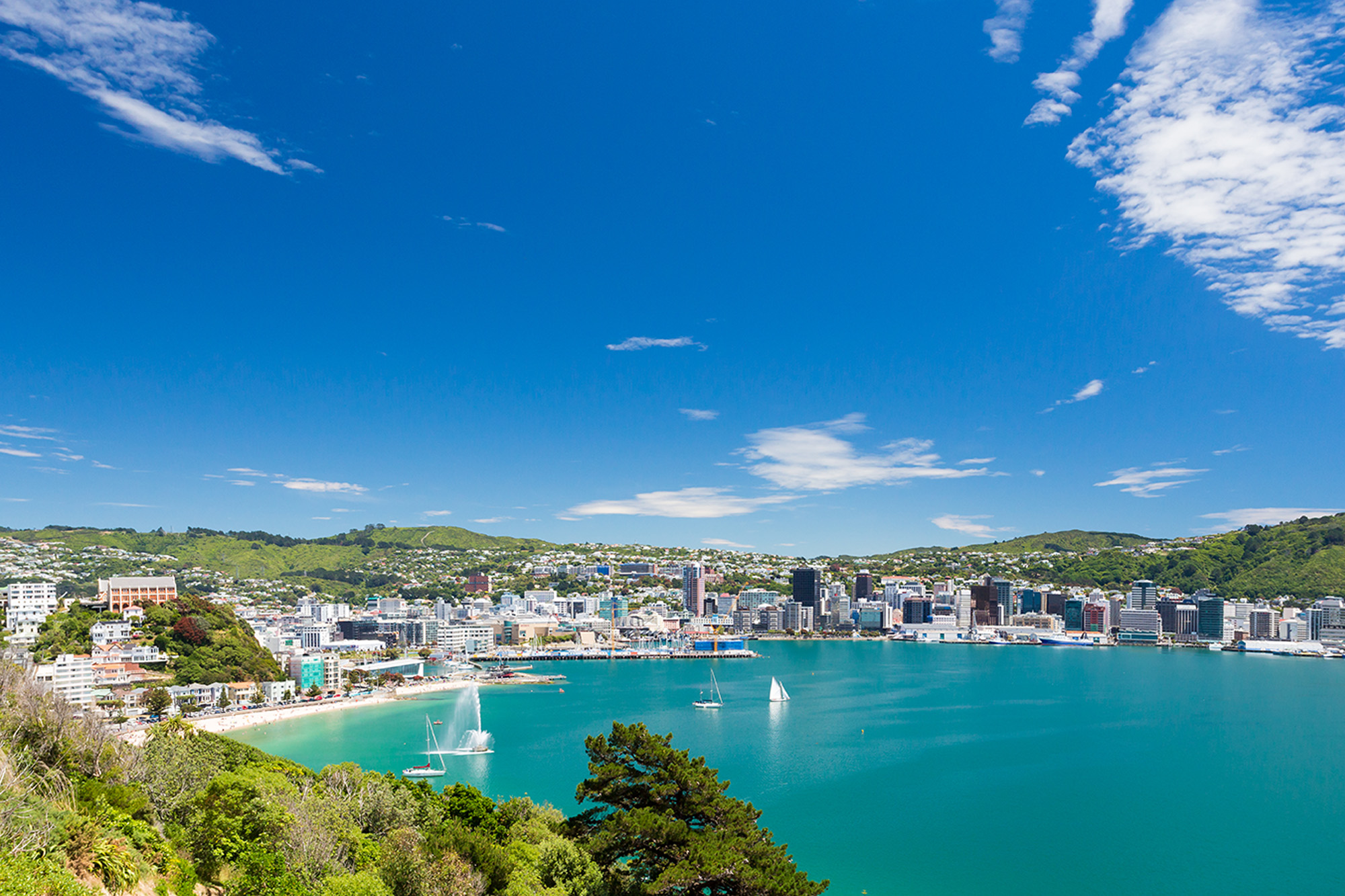 Wellington holidays