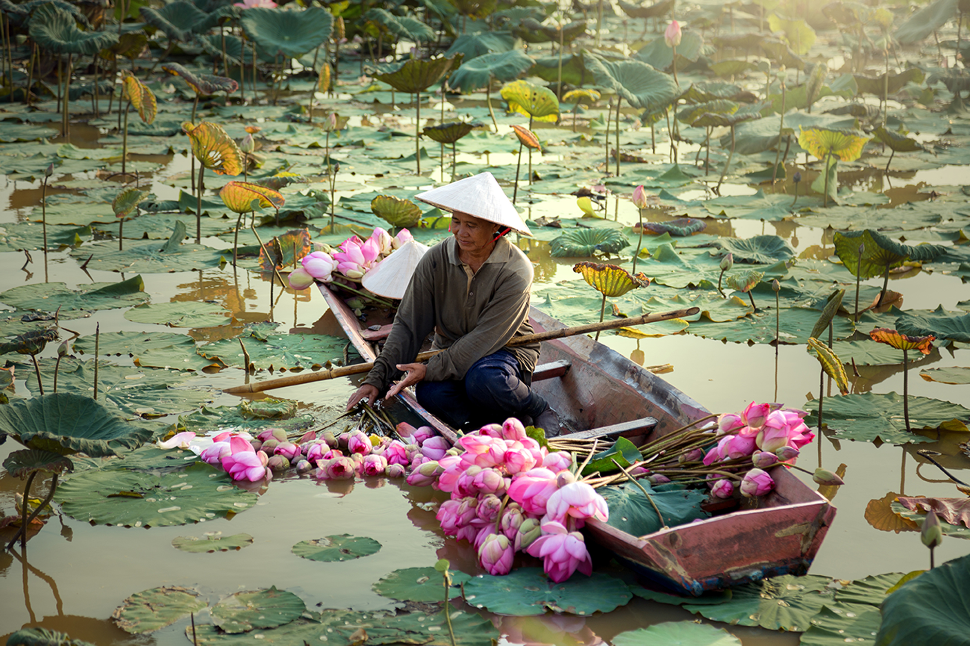Vietnam your Way