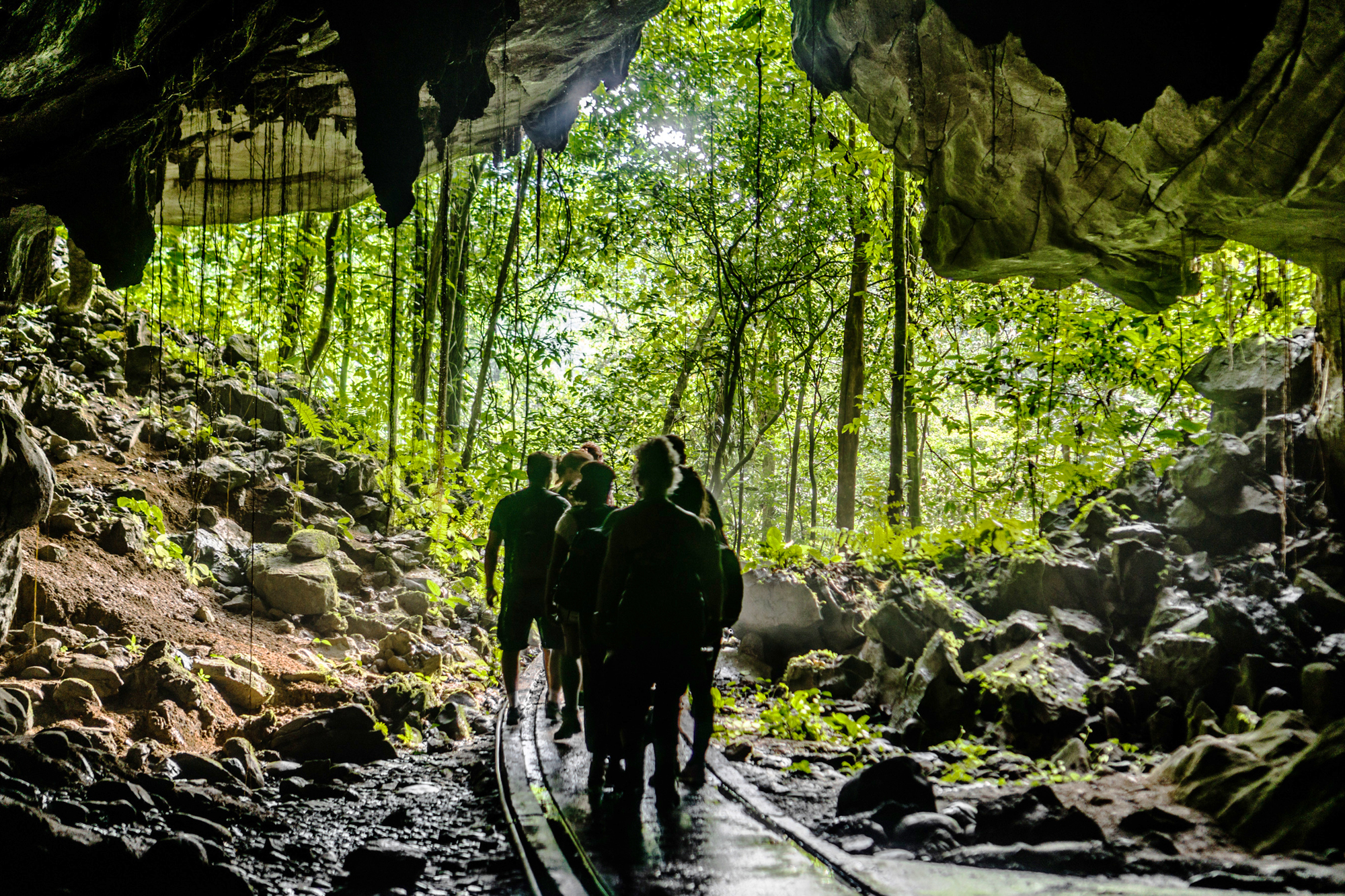 Mulu Caves Experience