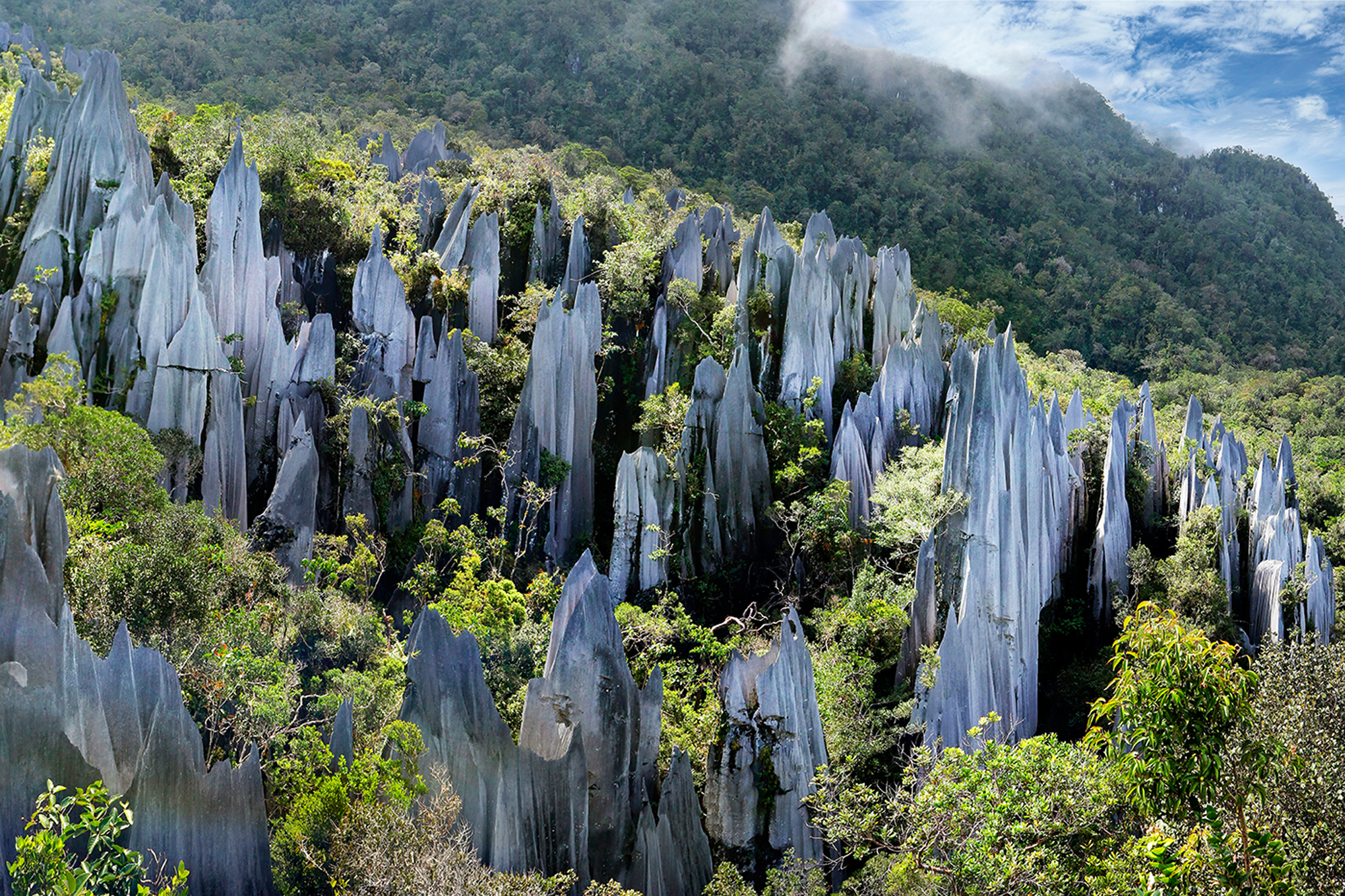 Mulu Caves Experience