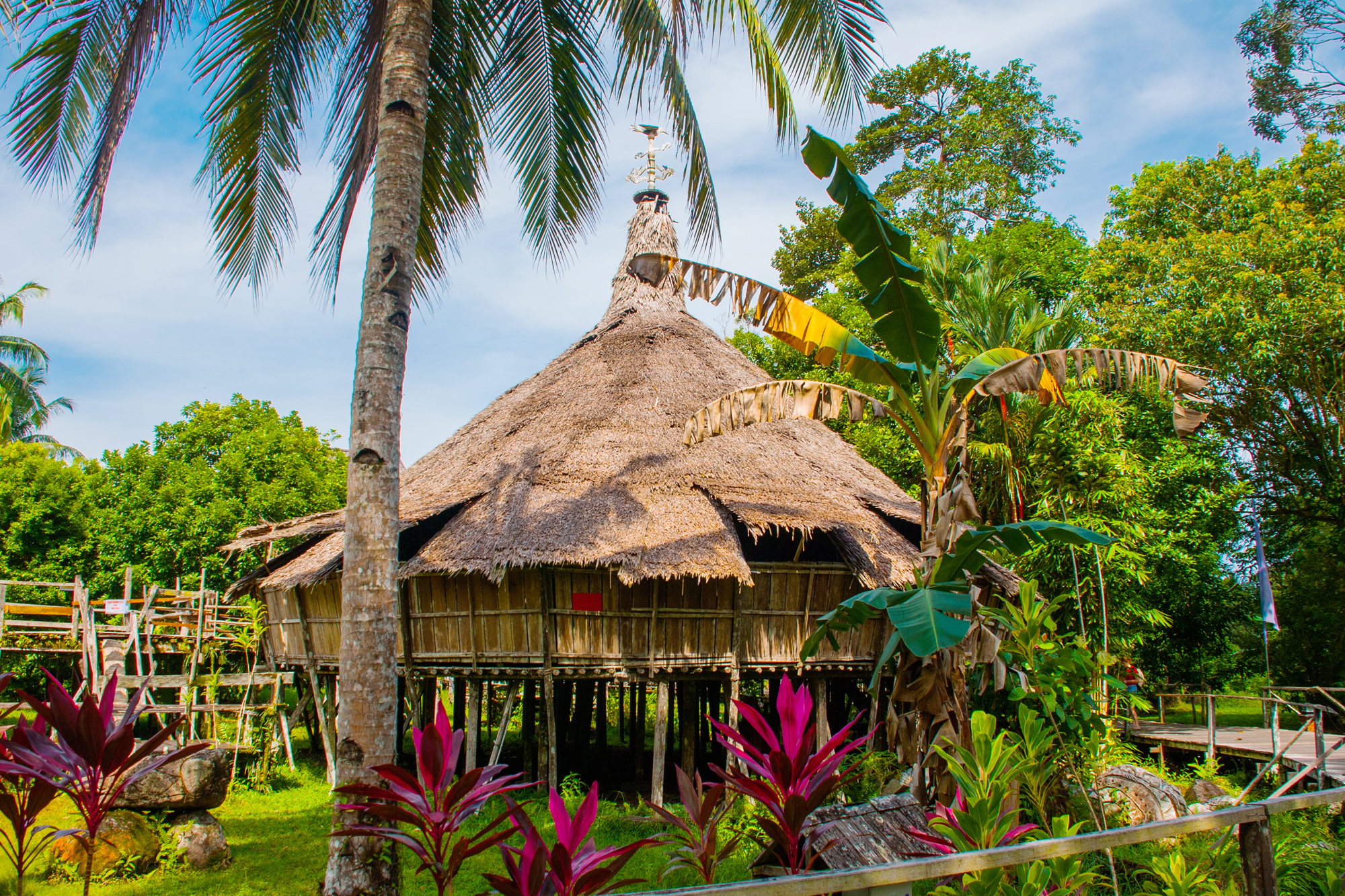 Journey to Borneo