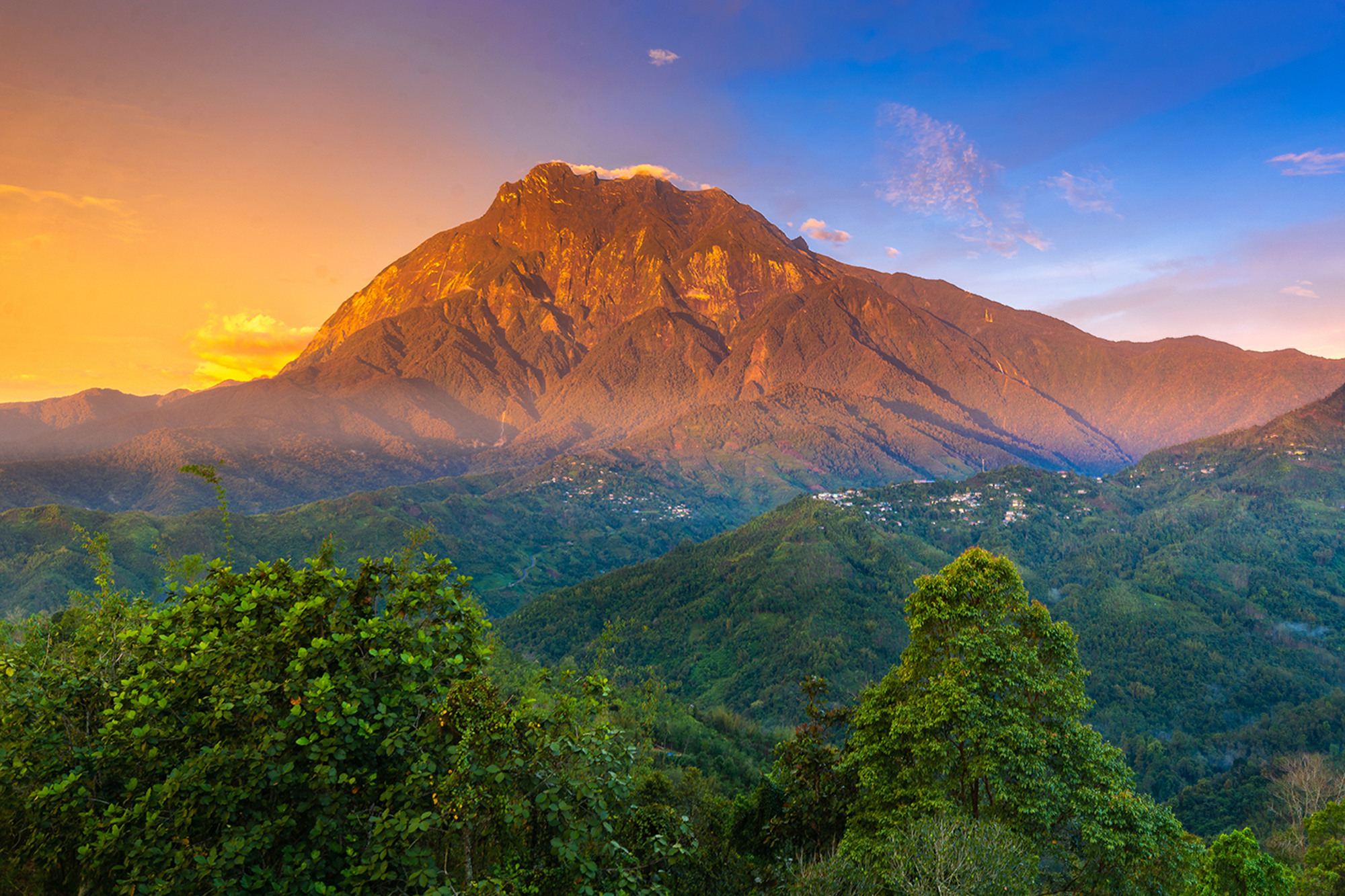 Journey to Borneo
