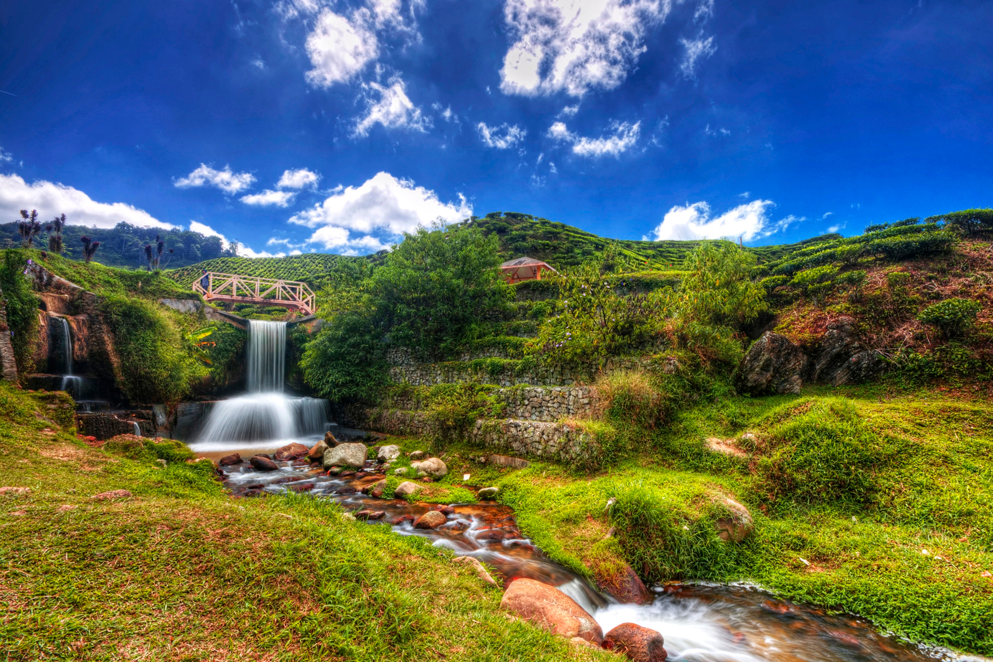 The Cameron Highlands