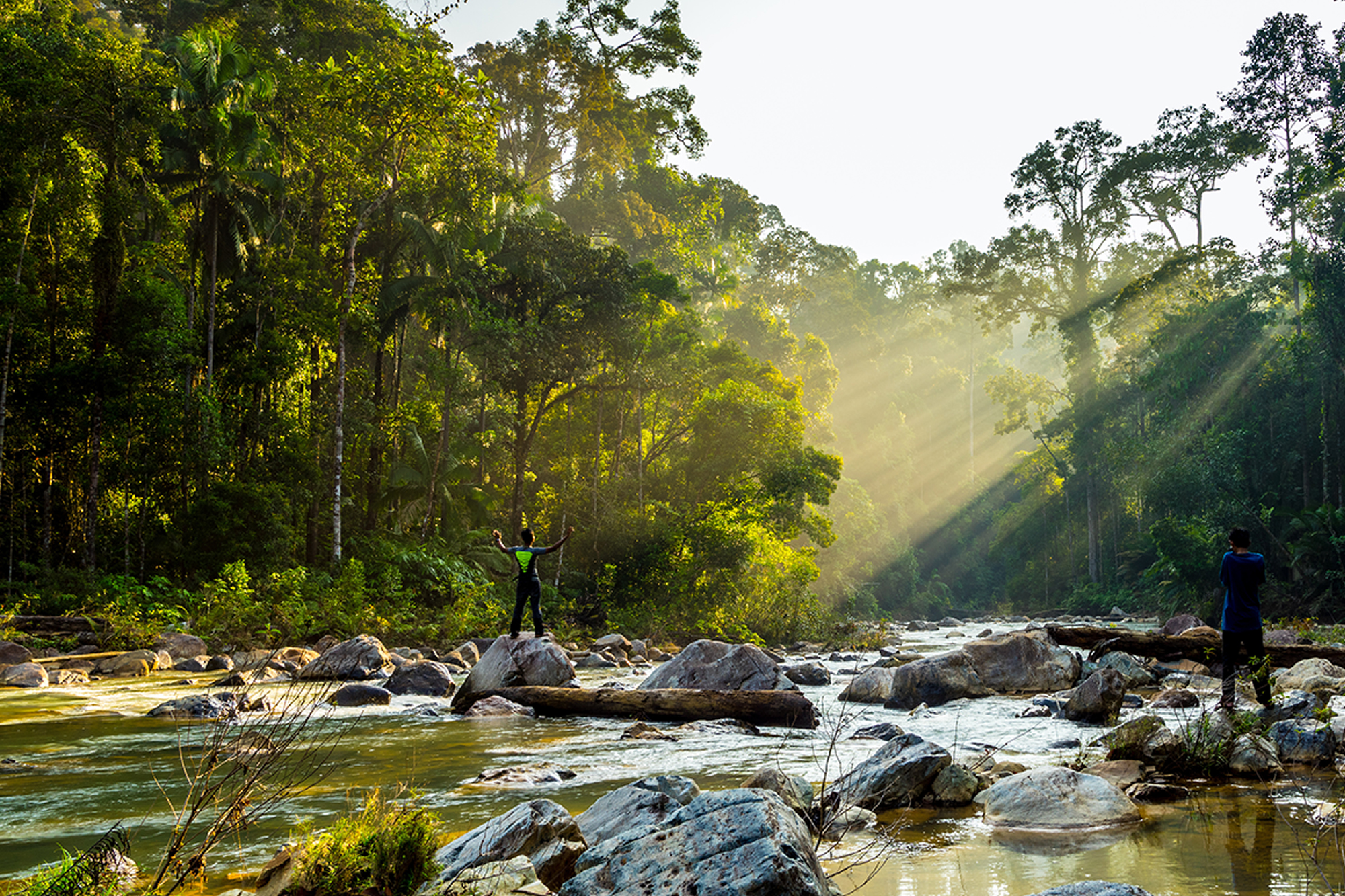 Taman Negara Explorer