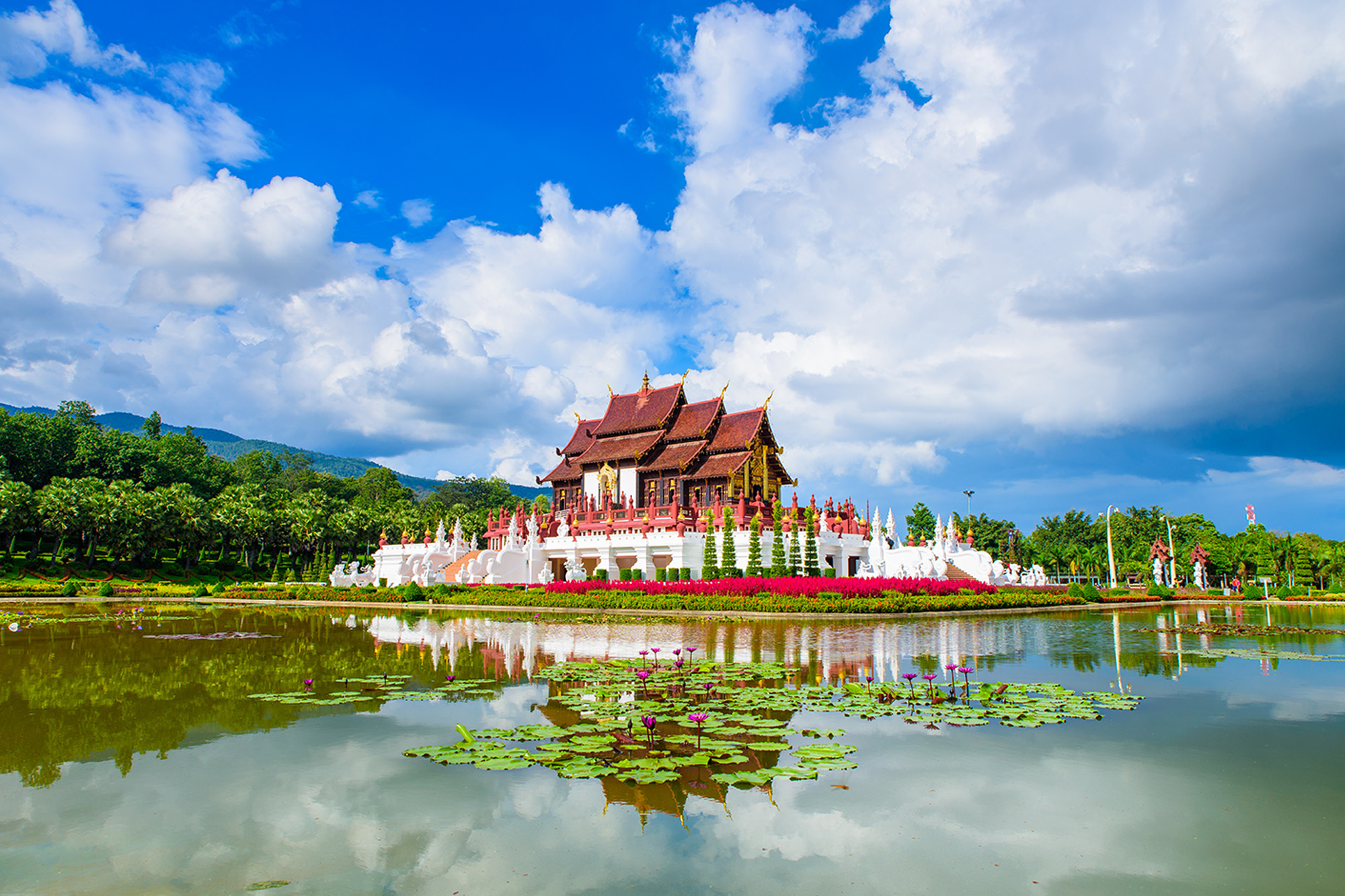 Glimpses of Thailand