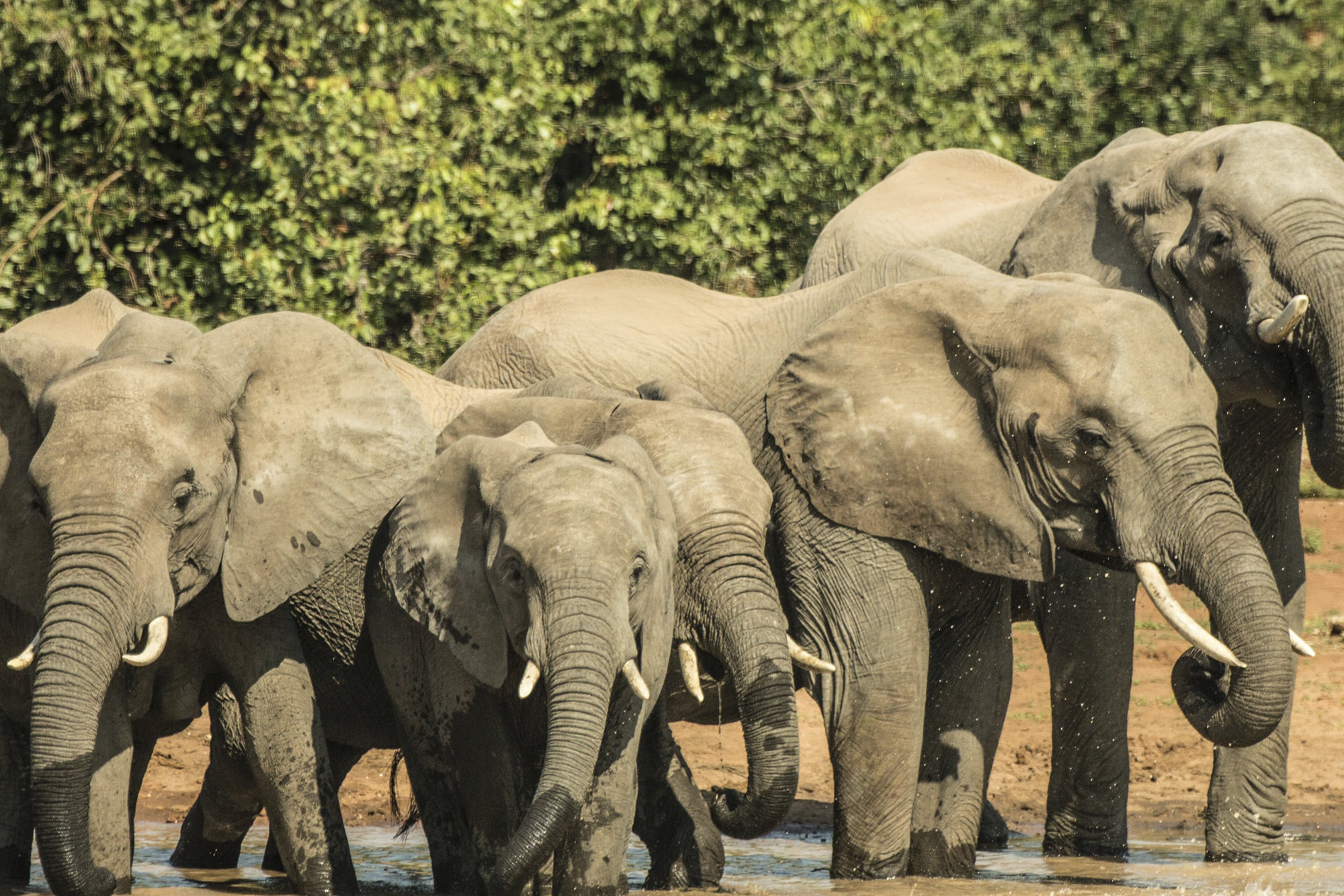 Cape Town & Kruger