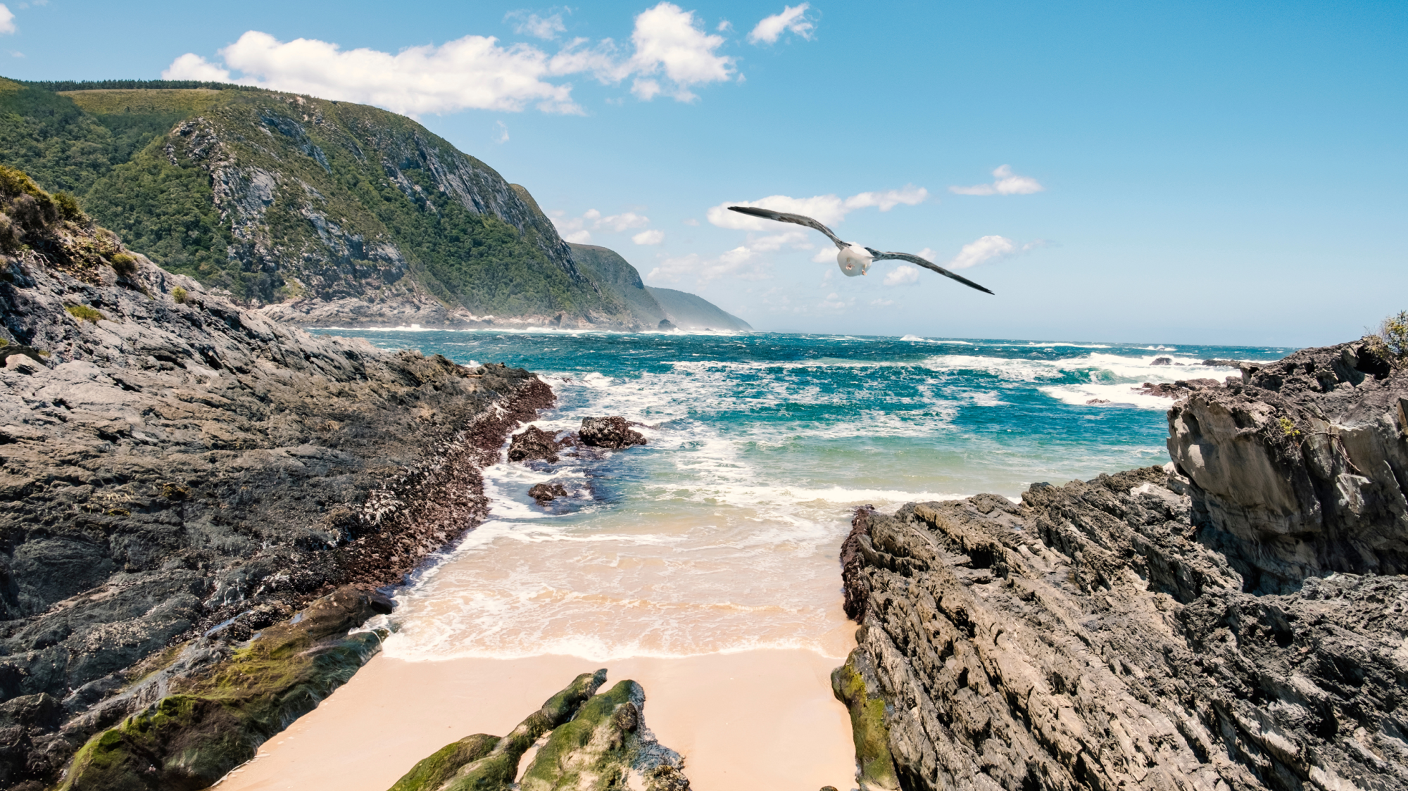 Garden Route Uncovered