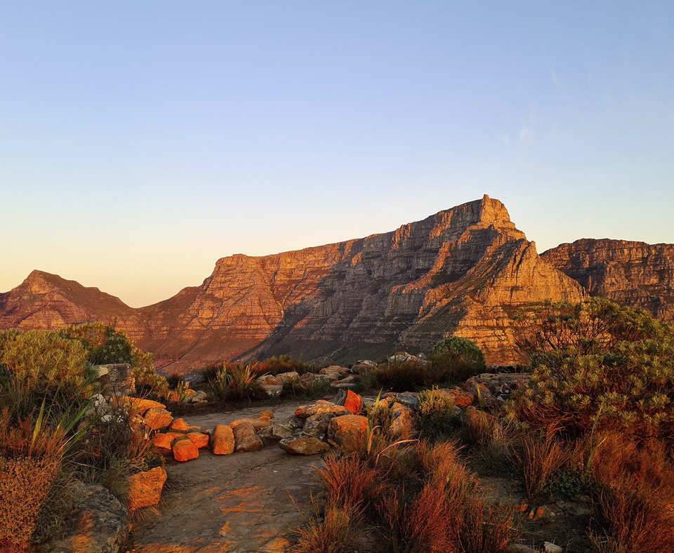 Cape Town, Winelands & Garden Route
