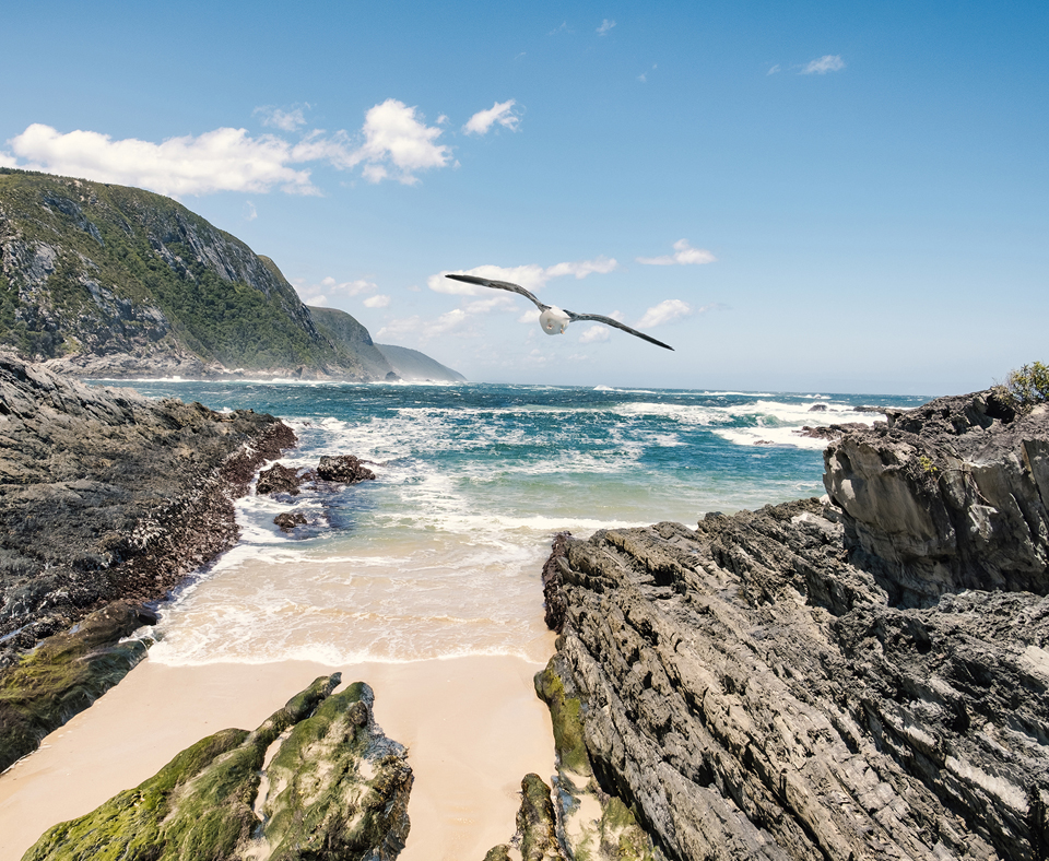 Cape Town, Winelands & Garden Route