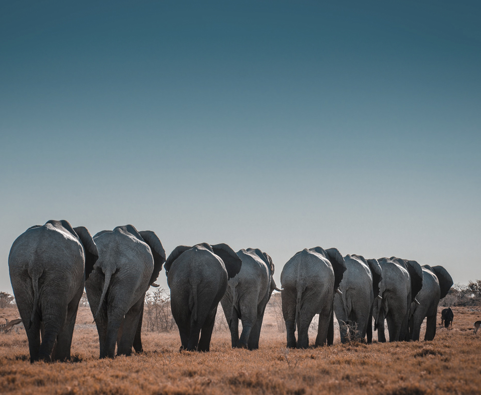 Namibia Highlights