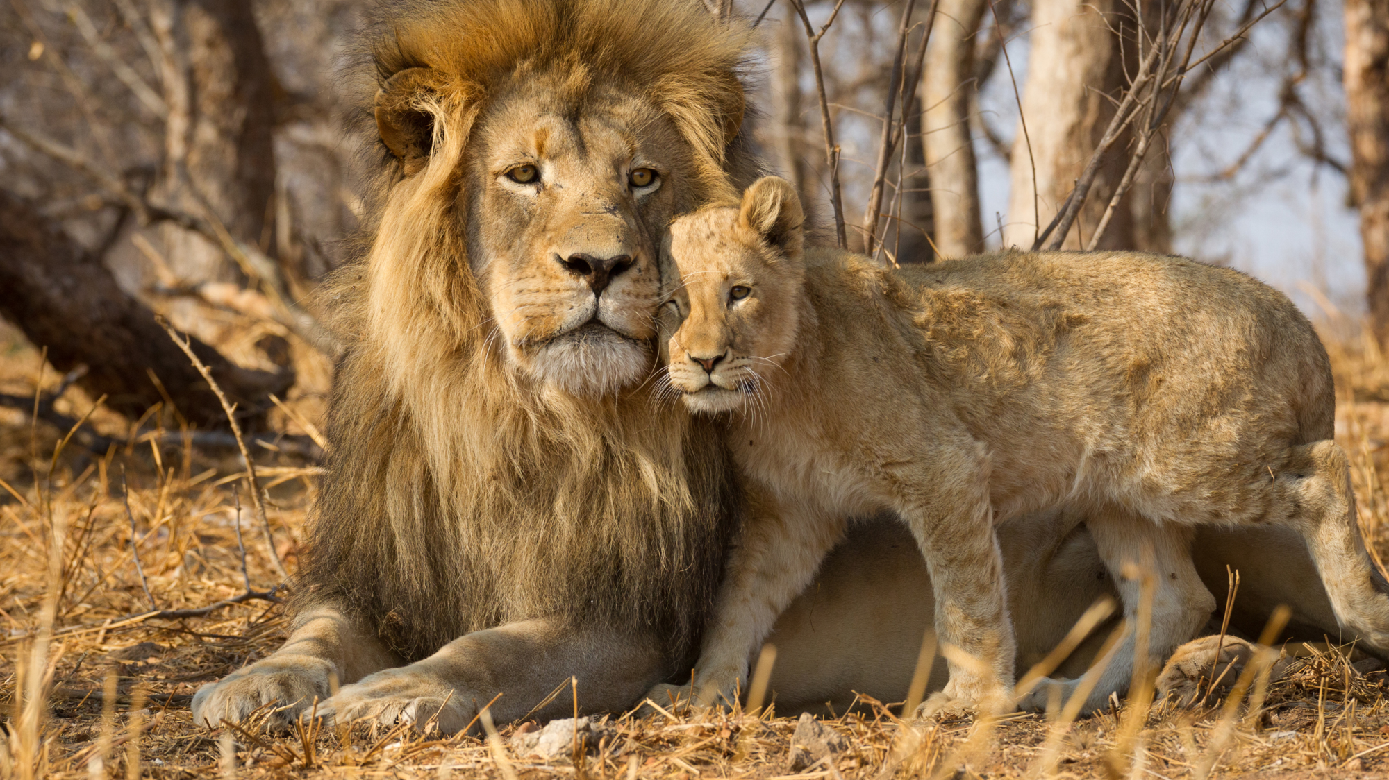 Kruger National Park
