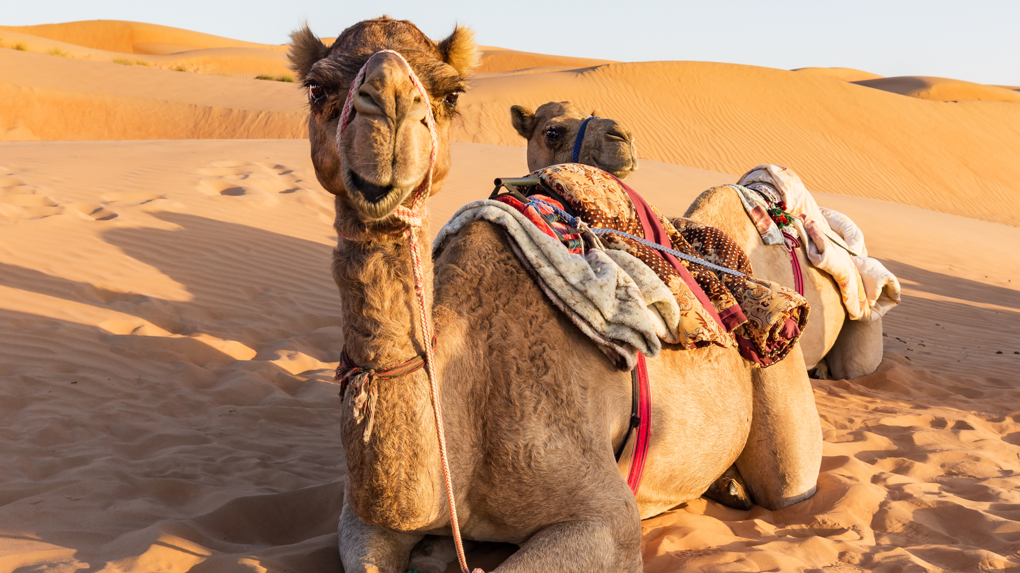 Discover Oman