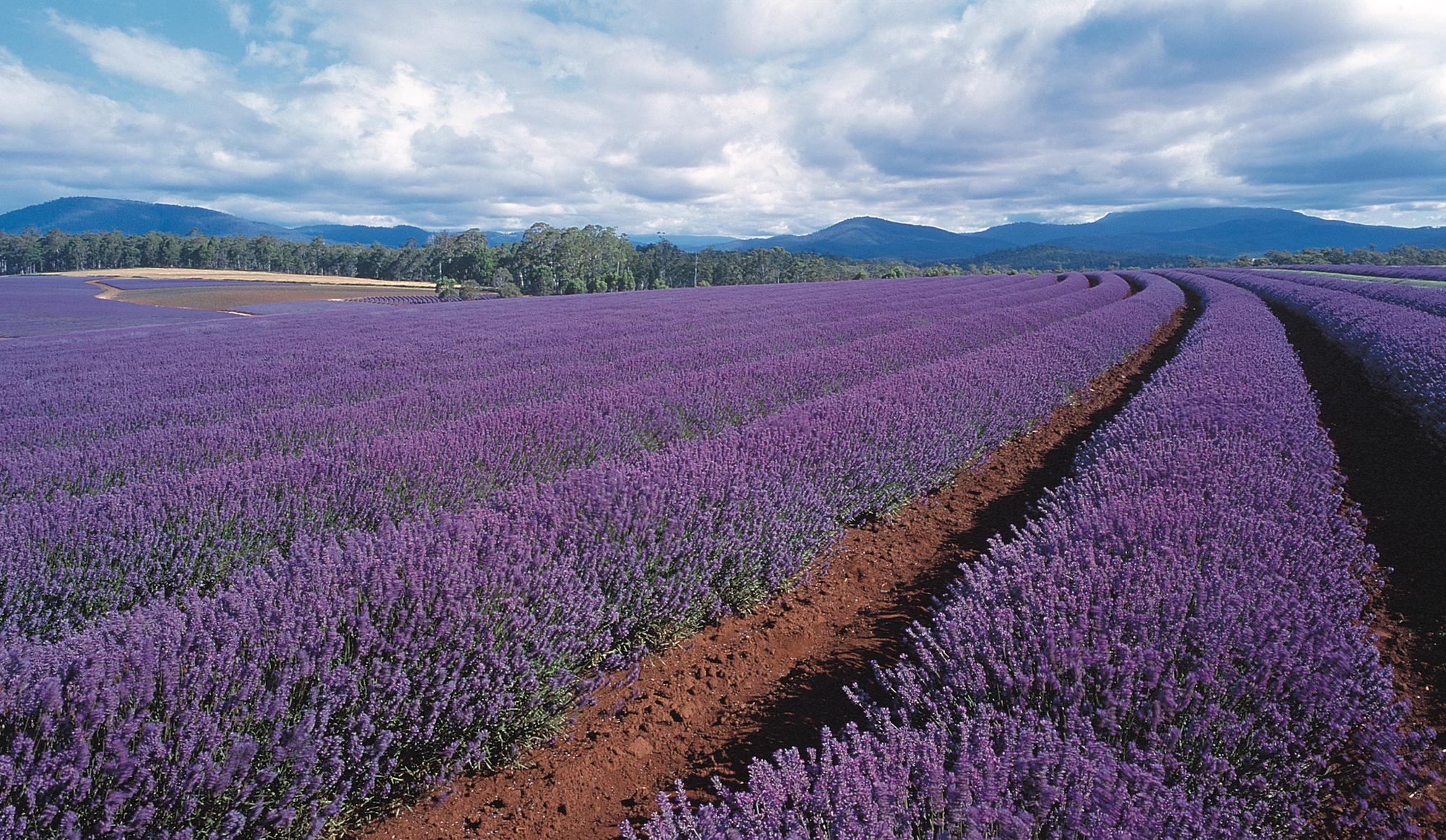 Tasmania Complete & Melbourne