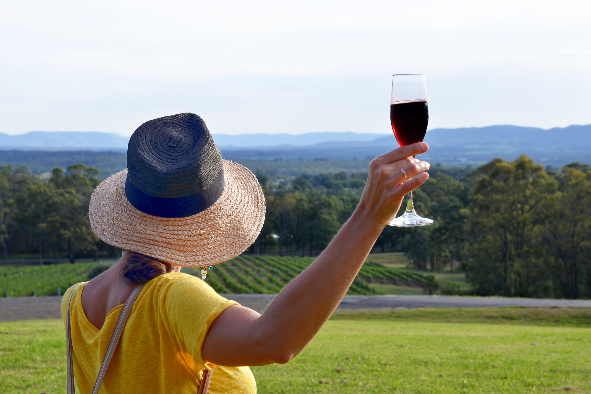 Hunter Valley Experience