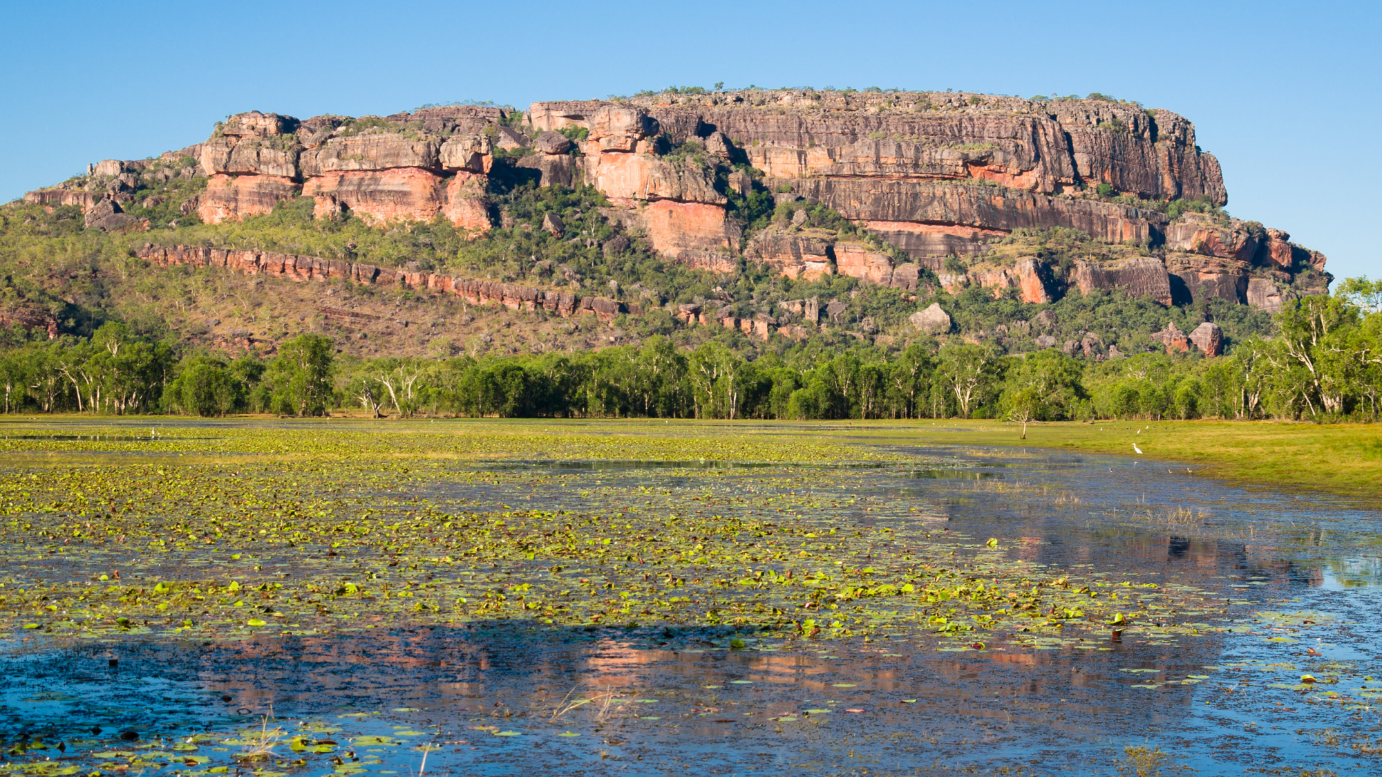 Kakadu & Litchfield National Park