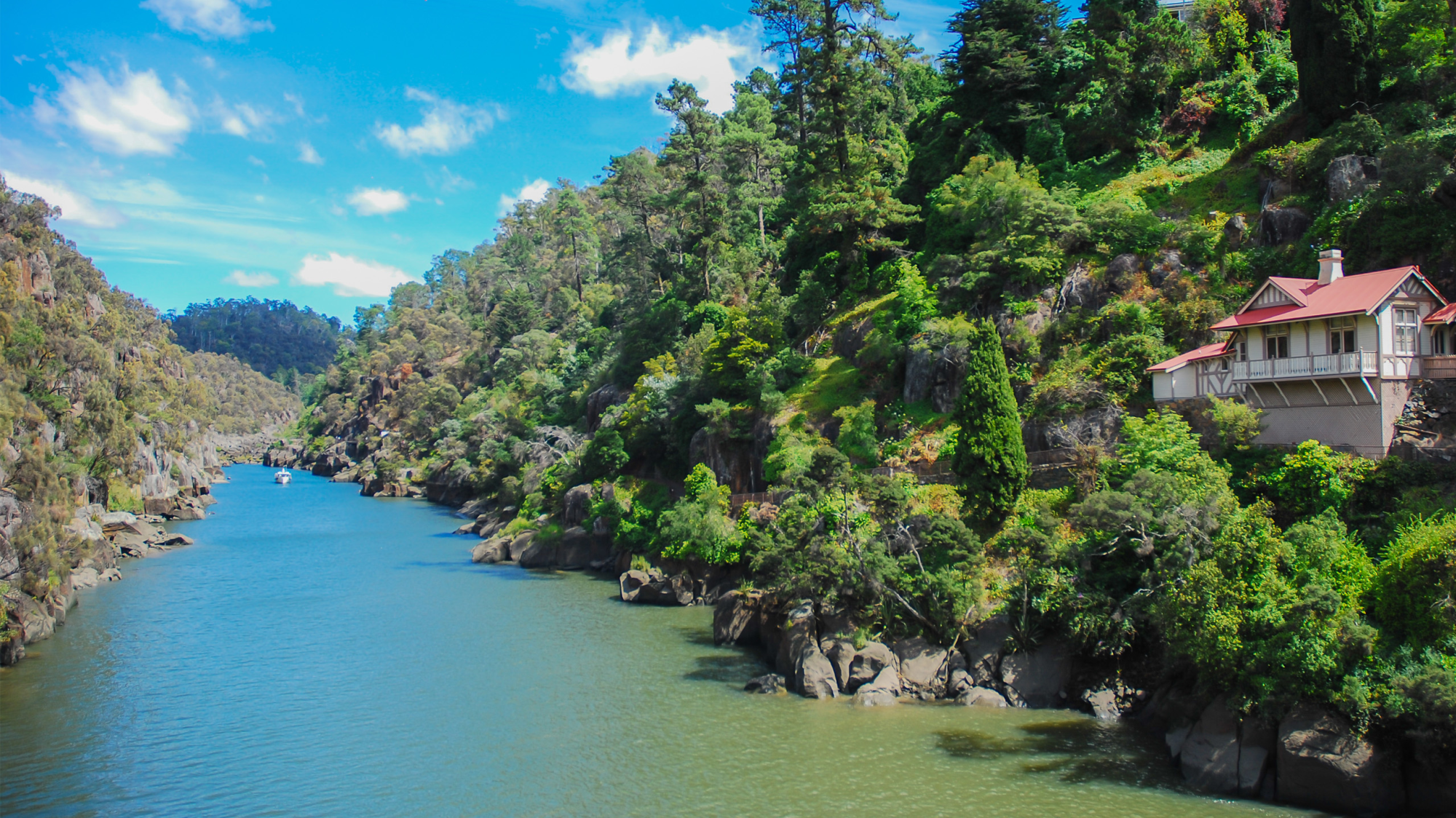 Tasmanian Wonders
