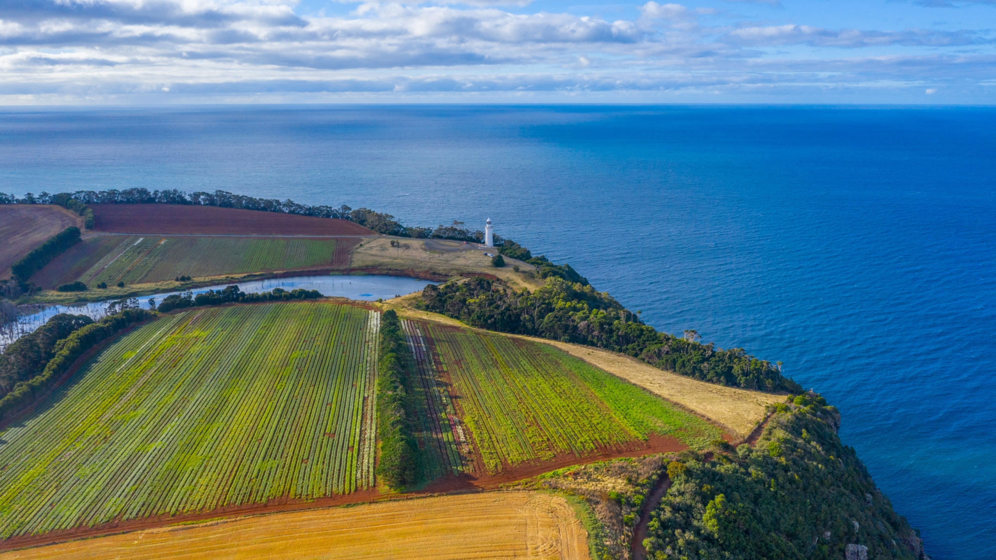 Tasmanian Wonders