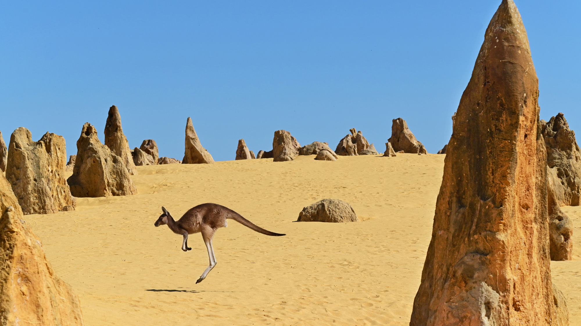 Western Australia Explorer