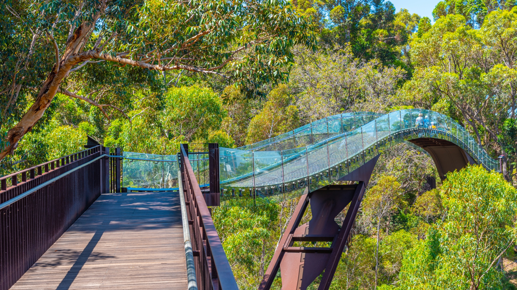 Perth Highlights