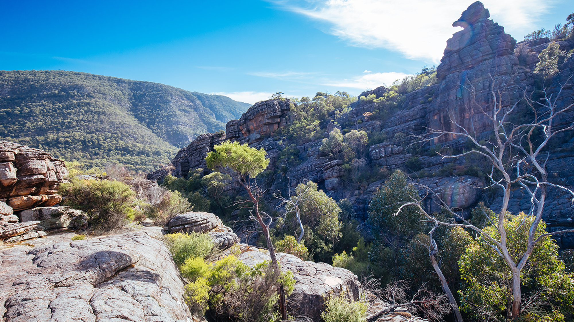 Great Ocean Road & Grampians